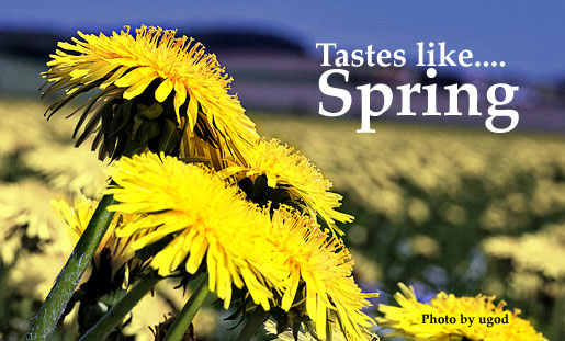 Dandelions